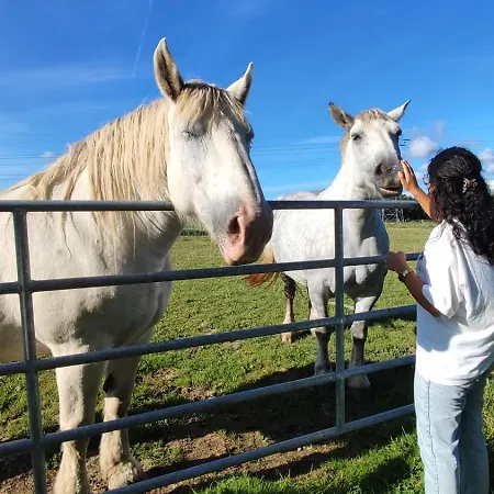 Des Augettes Saint-Hymer