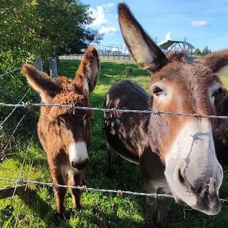 Casa vacanze Des Augettes Saint-Hymer
