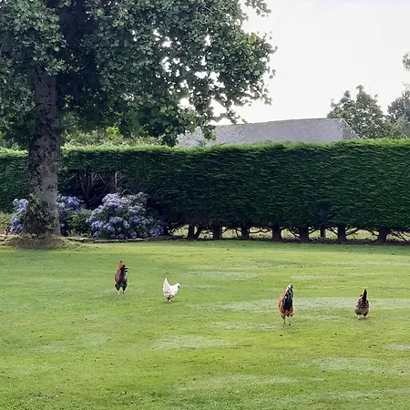 Des Augettes Saint-Hymer