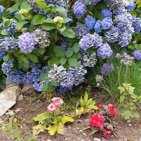 Casa vacanze Des Augettes *