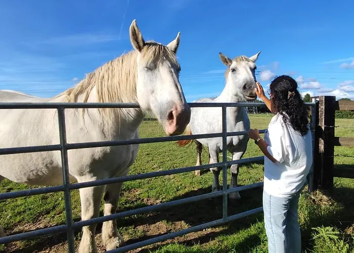 Des Augettes Saint-Hymer