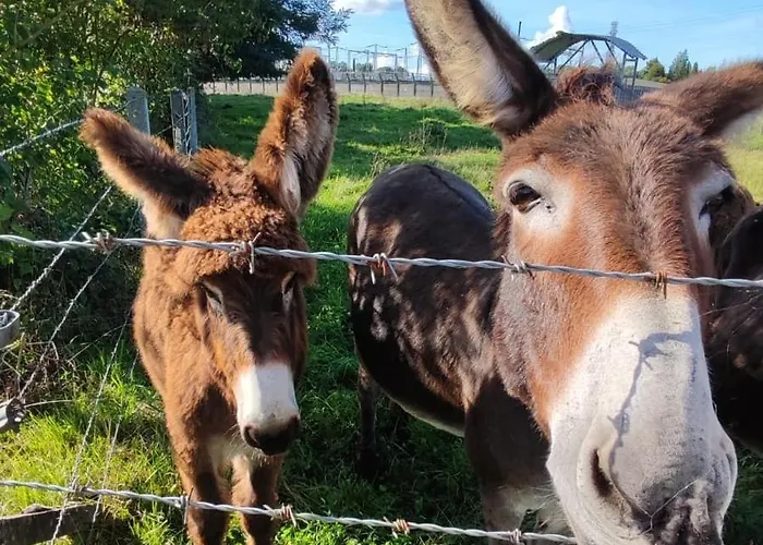 Vakantiehuis Des Augettes Saint-Hymer