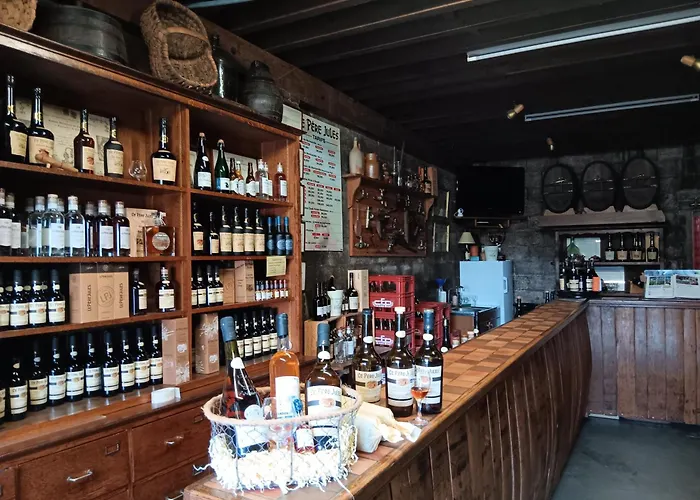 Vakantiehuis Des Augettes *