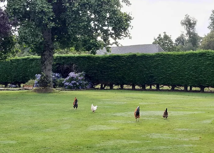 Des Augettes Saint-Hymer