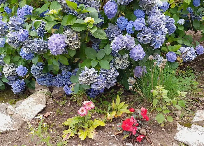 Vakantiehuis Des Augettes *